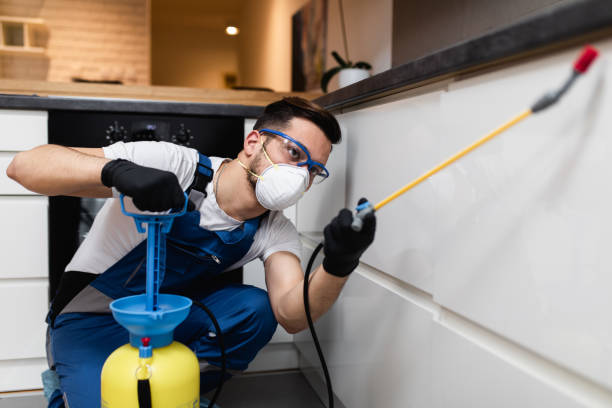 Best Termite Control Services  in Seven Points, TX