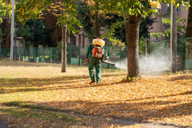 Trusted Seven Points, TX Pest Control Experts